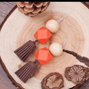 🌸Trendy Earrings🌸NWOT